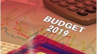 Union Budget, Union Budget 2019, Budget 2019, budget 2019 India, budget 2019-20, private sector, foreign economic actors, India, tax rates, Indian economy