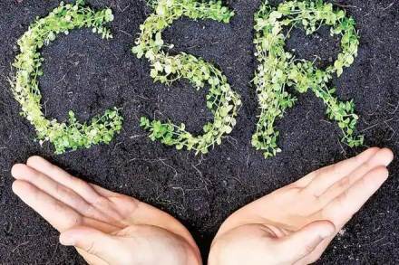 csr, corporate social responsibility. tax