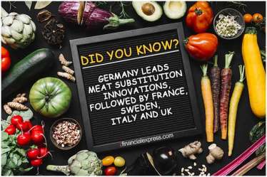 vegetarian diets protein intake