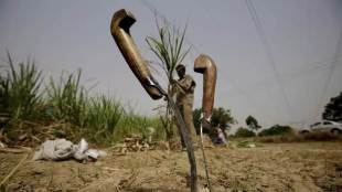 Kharif, Kharif crops, Indian Metereological Department, deficient monsoon, Agriculture Ministry, kharif season