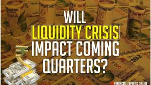 Budget 2019: Liquidity crisis to weigh down subsequent quarters?