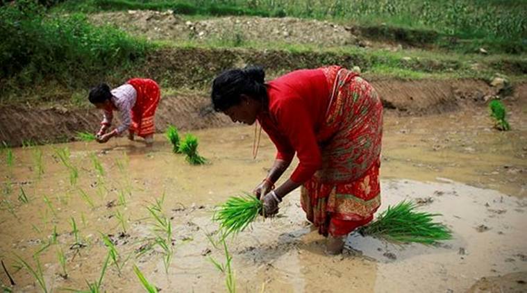 monsoon, june monsoon, monsoon deficit, July rains, Kharif sowing
