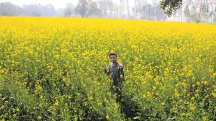 Oil price, US crude, OPEC, Crude stocks, Middle East, WTI futures