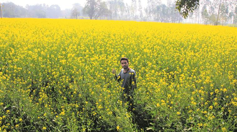 Oil price, US crude, OPEC, Crude stocks, Middle East, WTI futures Oil price, US crude, OPEC, Crude stocks, Middle East, WTI futures