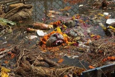 Puja Residue (source: DisposeWell )