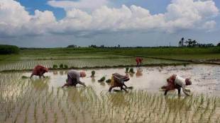 Monsoon in India, driest June, crop,  monsoon rains, IMD, india monsoon 2019, india monsoon update, india monsoon  news, economy news