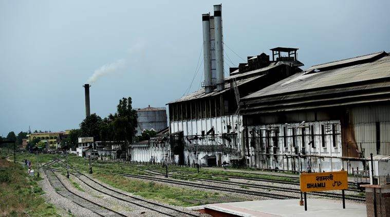 Sugar output, sugar production, sugar consumer, Uttar Pradesh, monsoon season, latest news on sugar production