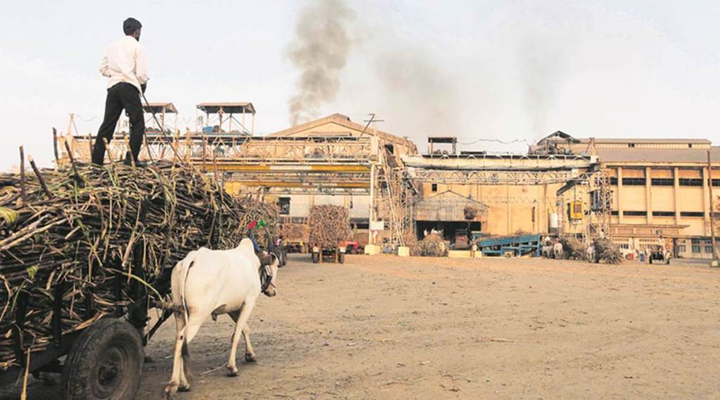 sugarcane, sugar, ethanol, sugar glut, excess production, oil marketing companies, OMCs