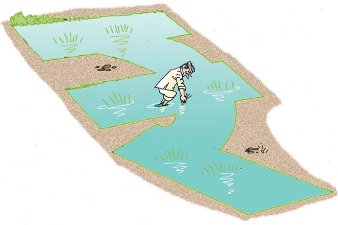 The objective was to make the farm as regenerative as the forest. When Vijay Kumar Thallam, the co-vice-chairman of the RySS, was told about Carberry’s remarks, he said every acre of land had 78,000 tonnes of nitrogen. The objective was to make the farm as regenerative as the forest. When Vijay Kumar Thallam, the co-vice-chairman of the RySS, was told about Carberry’s remarks, he said every acre of land had 78,000 tonnes of nitrogen.