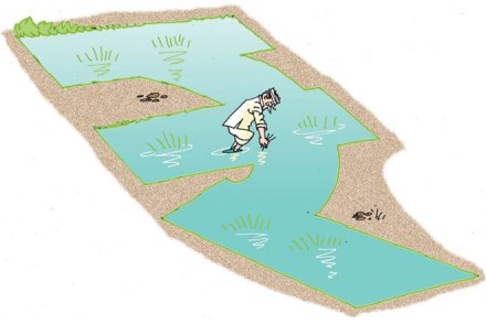 The objective was to make the farm as regenerative as the forest. When Vijay Kumar Thallam, the co-vice-chairman of the RySS, was told about Carberry’s remarks, he said every acre of land had 78,000 tonnes of nitrogen. 