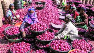  price rise, Government, MEP, onion, onion price, minimum export price, market news, commodity news