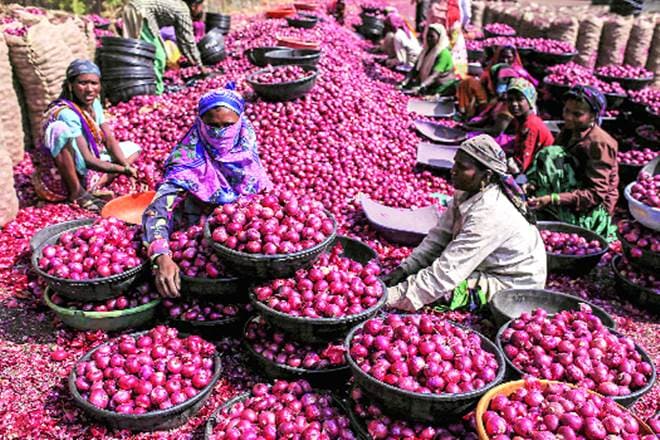 price rise, Government, MEP, onion, onion price, minimum export price, market news, commodity news price rise, Government, MEP, onion, onion price, minimum export price, market news, commodity news