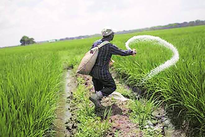According to a FICCI study, the current use of pesticides and other agrochemicals in India is 0.27 kg per hectare According to a FICCI study, the current use of pesticides and other agrochemicals in India is 0.27 kg per hectare
