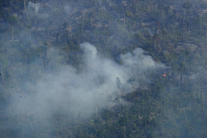 Most Brazilian soy is grown in the cerrado, a vast area of savannah to the south and east of the rainforest (AP Photo)