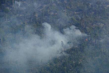 Most Brazilian soy is grown in the cerrado, a vast area of savannah to the south and east of the rainforest (AP Photo) Most Brazilian soy is grown in the cerrado, a vast area of savannah to the south and east of the rainforest (AP Photo)