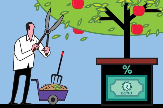 bond market, portfolios, fixed-income securities, portfolio management, fixed-income instrument, interest rate risk bond market, portfolios, fixed-income securities, portfolio management, fixed-income instrument, interest rate risk