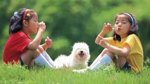 Friendship Day, health insurance, passport, roadside assistance, insurance