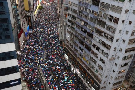 Hong Kong, Hong Kong protest, Hong Kong park, weekend activity, Civil Human Rights, world news