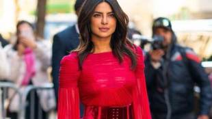 Priyanka Chopra, UN, Pakistan