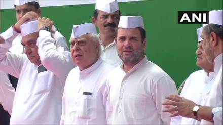Rahul Gandhi, Twitter, Article 370, Special Status, Jammu & Kashmir, Modi government Amit Shah