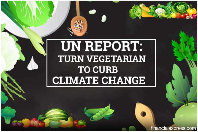 UN report climate change
