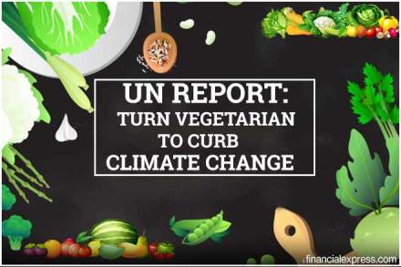 UN report climate change