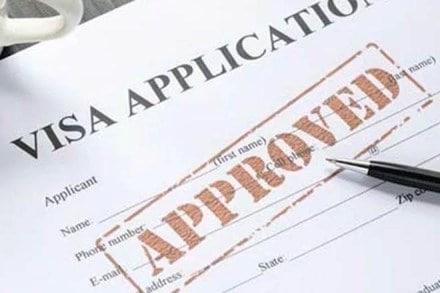 E-visa, Tourist visa, Visa