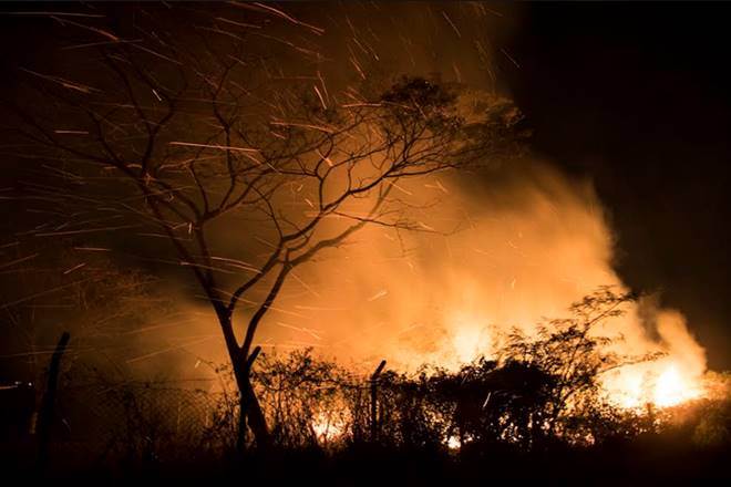 Amazon forest fire, Peru, Colombia, emergency summit, world largest rainforest, Amazon fire, Amazon, brazil, s7 summit