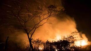 Amazon forest fire, Peru, Colombia, emergency summit, world largest rainforest, Amazon fire, Amazon, brazil, s7 summit