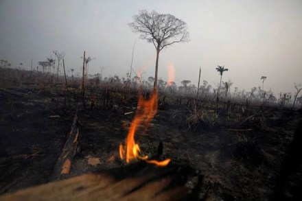 Brazil, Amazon fire, Amazon forest fire, un, Antonio Guterres,  Amazon basin, Amazonia, Jair Bolsonaro