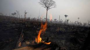 Brazil, Amazon fire, Amazon forest fire, un, Antonio Guterres,  Amazon basin, Amazonia, Jair Bolsonaro