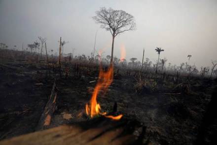 Brazil, Amazon fire, Amazon forest fire, un, Antonio Guterres,  Amazon basin, Amazonia, Jair Bolsonaro Brazil, Amazon fire, Amazon forest fire, un, Antonio Guterres,  Amazon basin, Amazonia, Jair Bolsonaro