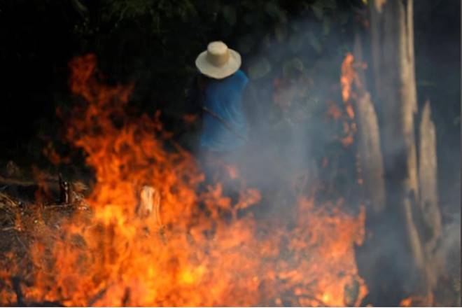 amazon forest, Emmanuel Macron, amzon forest fire, amazon forest latest news, amazon forest area, amazon forest location, Amazon forest weather, Amazon forest map, Amazon forest fire reason, Amazon forest rain, Amazon forest temperature