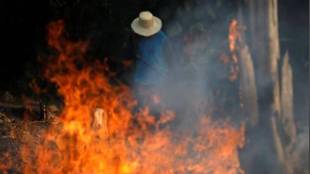 amazon forest, Emmanuel Macron, amzon forest fire, amazon forest latest news, amazon forest area, amazon forest location, Amazon forest weather, Amazon forest map, Amazon forest fire reason, Amazon forest rain, Amazon forest temperature