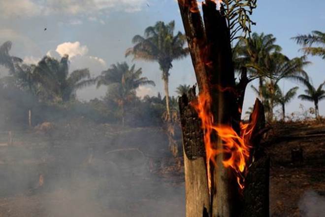 Amazon forest fire, Bolivia, Bolivia President, G7 summit, Bolivia forest fire, amazonia, amazon fire, Brazil 