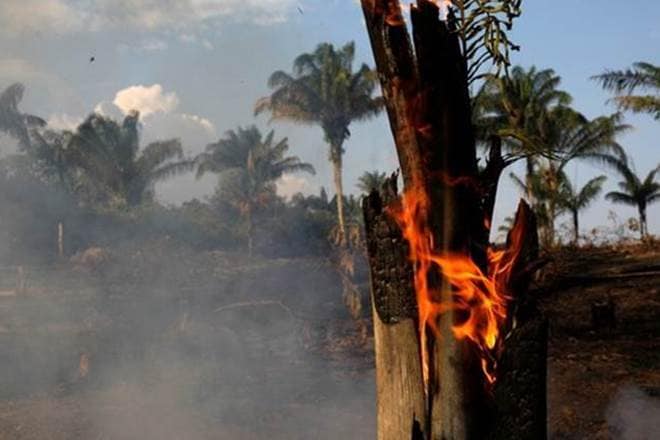 Amazon forest fire, Bolivia, Bolivia President, G7 summit, Bolivia forest fire, amazonia, amazon fire, Brazil  Amazon forest fire, Bolivia, Bolivia President, G7 summit, Bolivia forest fire, amazonia, amazon fire, Brazil
