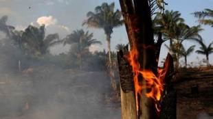 Amazon forest fire, Bolivia, Bolivia President, G7 summit, Bolivia forest fire, amazonia, amazon fire, Brazil