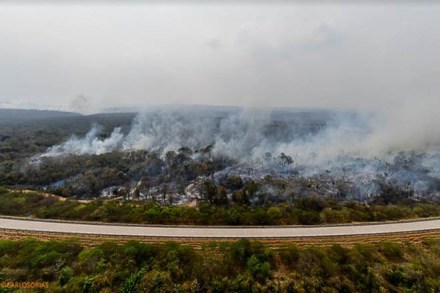 Brazil, G7 summit, Amazon forest fire, Amazon fire, Jair Bolsonaro, Amazon, Amazonia, Emmanuel Macron, france Brazil, G7 summit, Amazon forest fire, Amazon fire, Jair Bolsonaro, Amazon, Amazonia, Emmanuel Macron, france