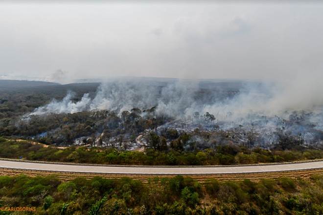 Brazil, G7 summit, Amazon forest fire, Amazon fire, Jair Bolsonaro, Amazon, Amazonia, Emmanuel Macron, france