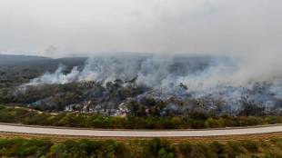 Brazil, G7 summit, Amazon forest fire, Amazon fire, Jair Bolsonaro, Amazon, Amazonia, Emmanuel Macron, france
