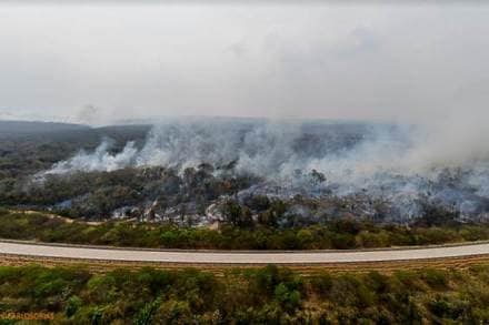 Brazil, G7 summit, Amazon forest fire, Amazon fire, Jair Bolsonaro, Amazon, Amazonia, Emmanuel Macron, france