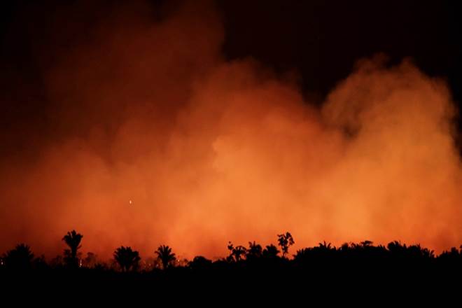 US, Amazon fire, Brazil, Amazon forest fire, Donald Trump, Bolsonaro, G7 summit US, Amazon fire, Brazil, Amazon forest fire, Donald Trump, Bolsonaro, G7 summit