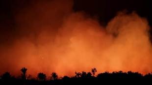 US, Amazon fire, Brazil, Amazon forest fire, Donald Trump, Bolsonaro, G7 summit