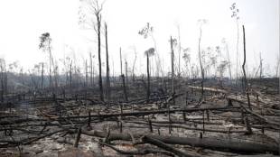 amazon rainforest, Amazon rainforest weather, Amazon rainforest climate, Amazon rainforest fire, Amazon rainforest facts, Amazon rainforest temperature, Amazon rainforest area, Amazon rainforest animals, Amazon rainforest map, Amazon rainforest busrning