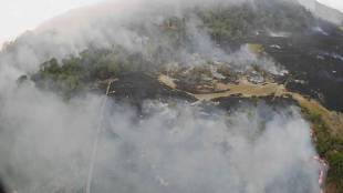 Amazon wildfires, Amazon wildfires crisis, UN, France, Amazon, Antonio Guterres, G7, global warming, latest news on amazon wildfires