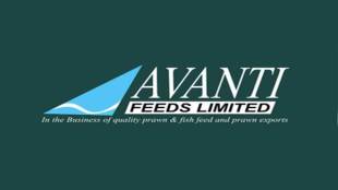 Avanti Feeds, Avanti Feeds stocks, Avanti Feeds Buy, stock market, news, 