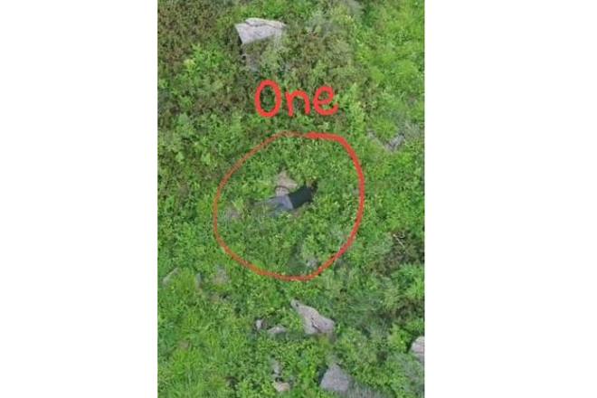 No cluster bombs used, yet another lie from Pakistan: Indian Army rubbishes claims