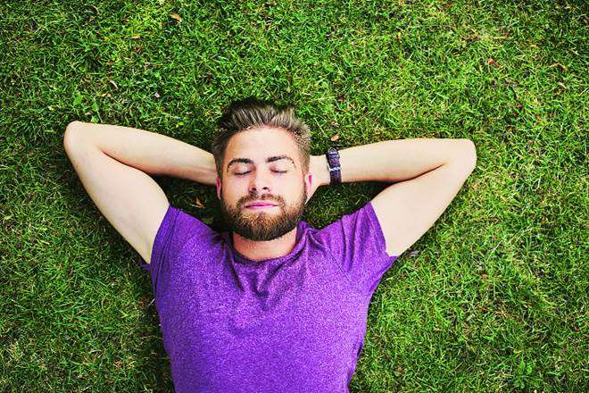 Plants through photosynthesis convert the carbon dioxide we exhale into fresh oxygen, and they can also remove toxins from the air we breathe