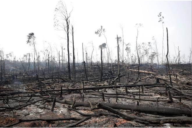 Land degradation and deforestation are responsible for more than 20% of the global greenhouse gas (GHG) emissions. 