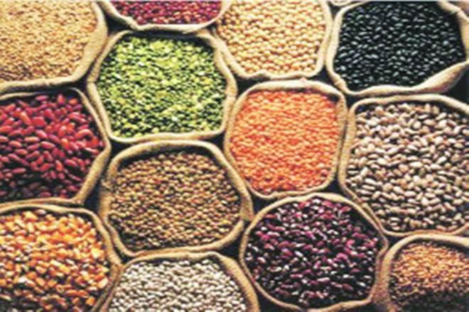 Of the 1,200 applications received by the government, import licences have been granted to around 1,118 millers for the import of tur, Agrawal said. Of the 1,200 applications received by the government, import licences have been granted to around 1,118 millers for the import of tur, Agrawal said.